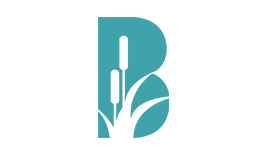 Bayou Logo